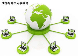 網(wǎng)絡(luò)遠(yuǎn)程技術(shù)教育 時代趨勢與獨特優(yōu)勢的融合